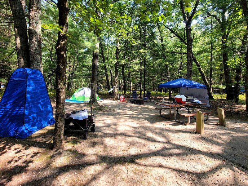 Manistee National Forest Festival - Manistee, Manistee