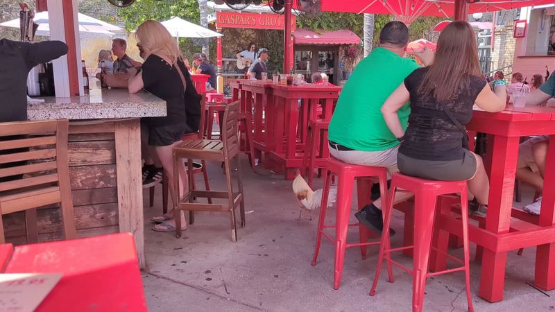 Gaspar&rsquo;s Grotto (Ybor City)