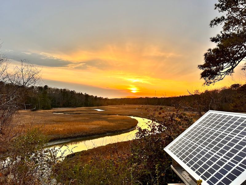 York River State Park