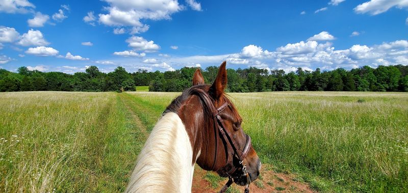 The Sanders Ranch Equestrian Center