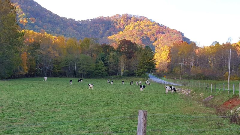 Linville