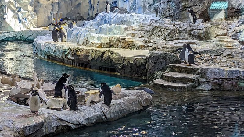 Detroit Zoo Aquarium Exhibits 