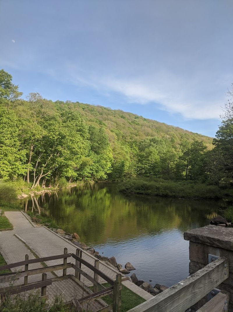 Laurel Hill Lake &mdash; The Forest-Framed Mountain Escape