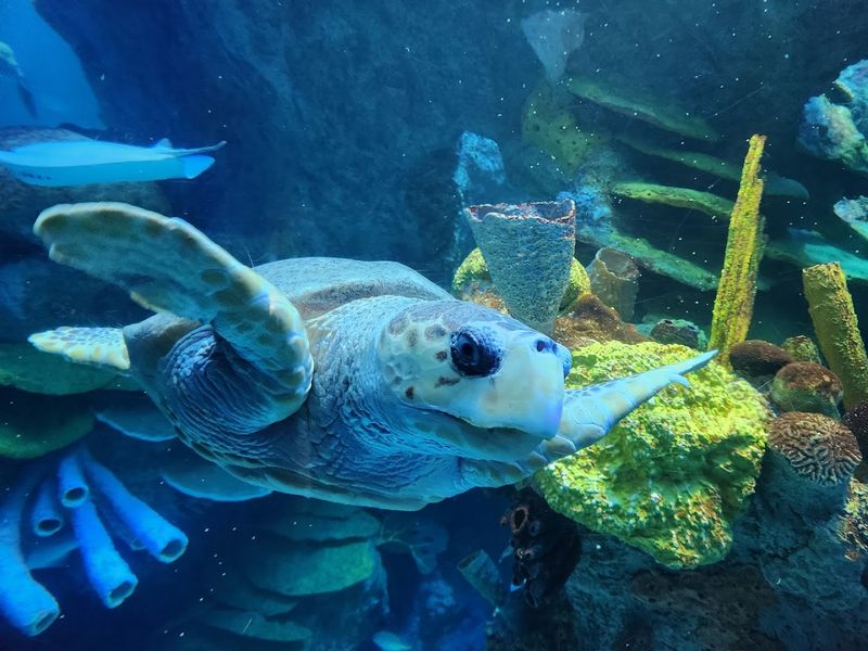 New England Aquarium