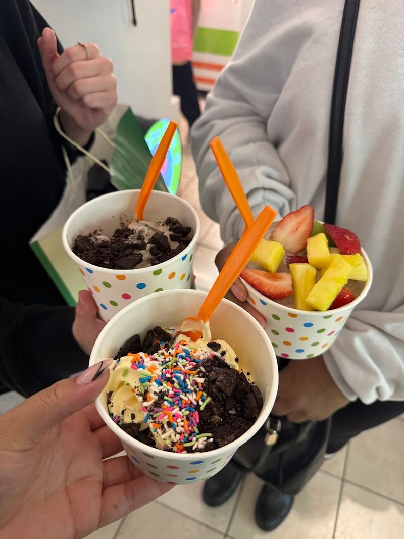 Healthy Swirl Frozen Yogurt

