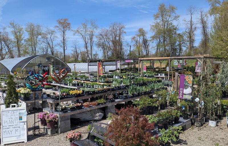 Crow's Nest Greenhouses - Blacksburg, Montgomery County