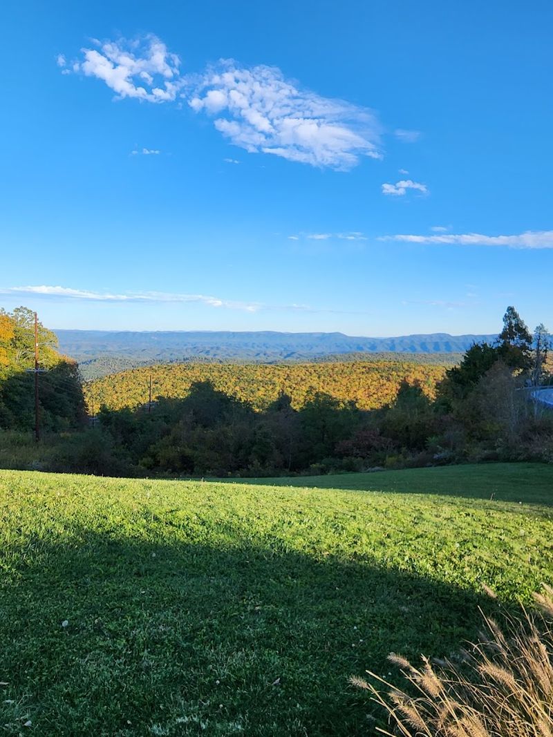 Wildlife and Natural Beauty Around Warm Springs Mountain