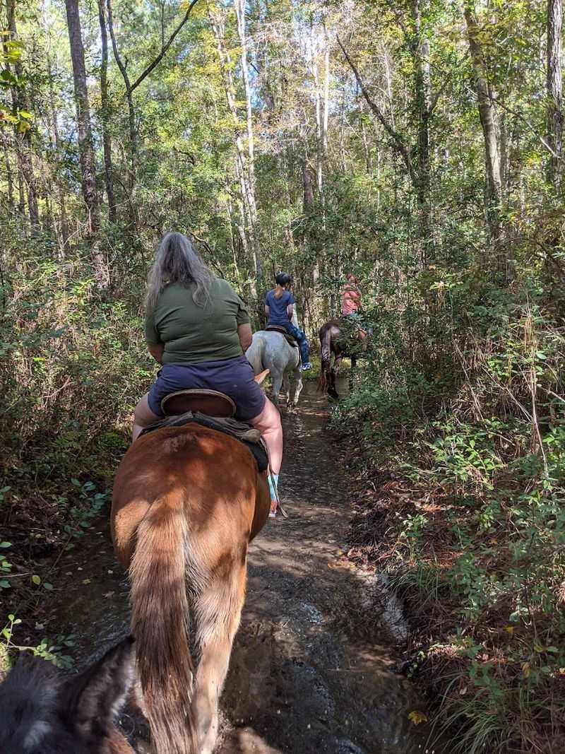 Jennings State Forest Horse Trails 