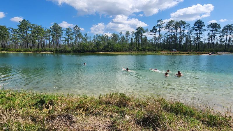 Apalachicola National Forest