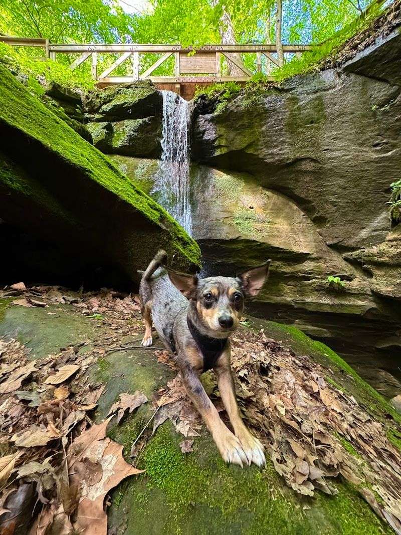 Little Lyons Falls