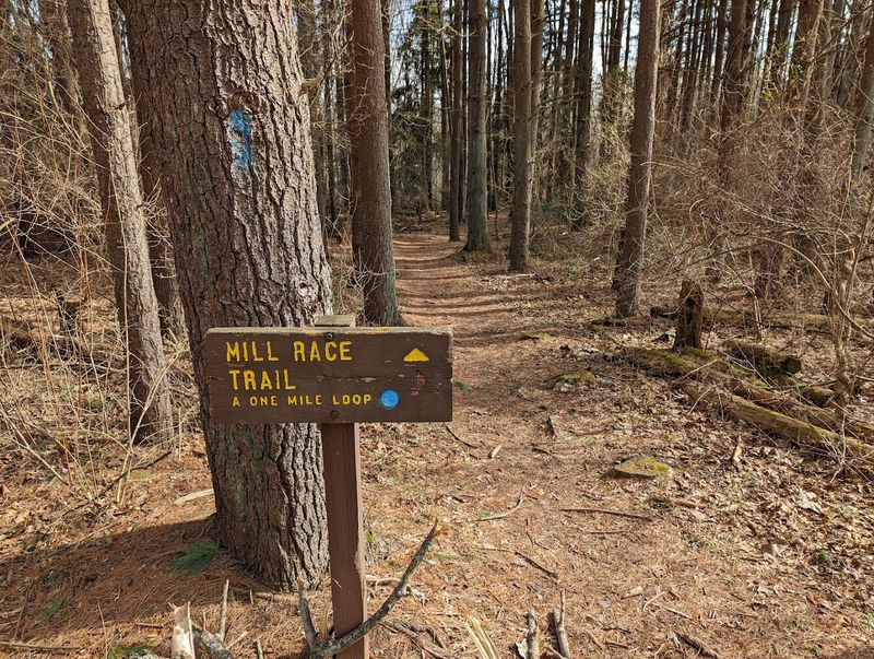 Evansburg State Park Trails 