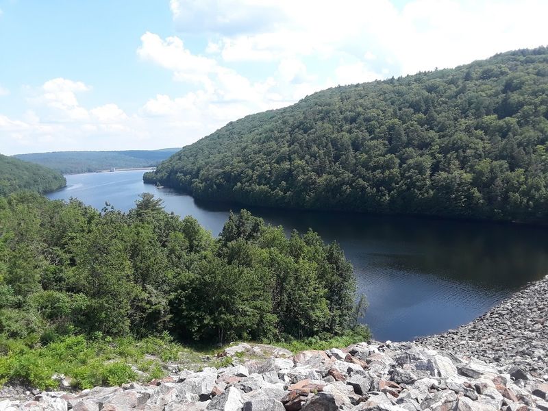 People&rsquo;s State Forest