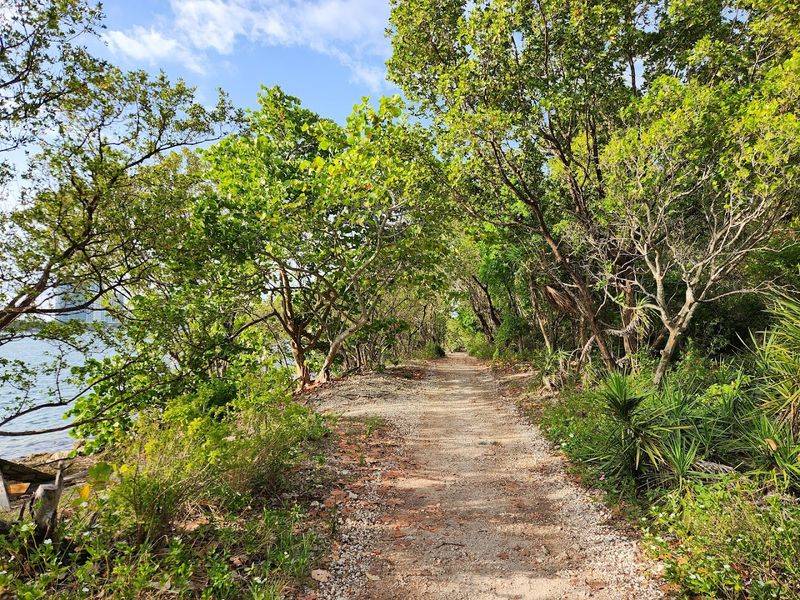 Oleta River State Park Trails 