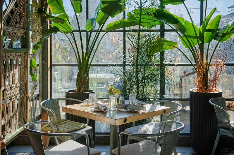 Terrain Café (Westport)