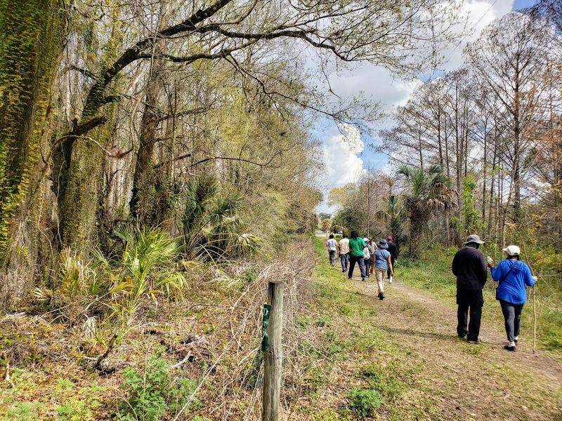 Journey Back To Fort Center's Ancient Past