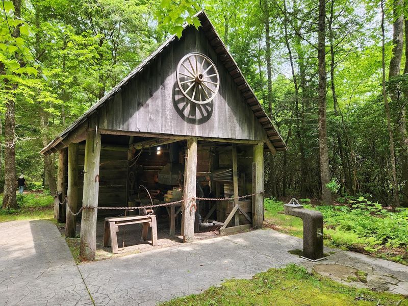 Cradle of Forestry Historic Site