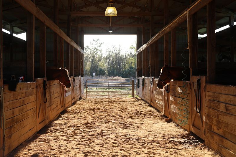 Rock Springs Guest Ranch