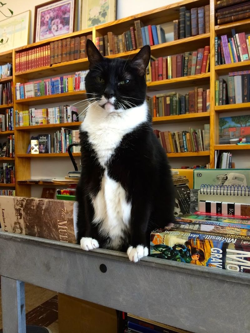 Book Buyers - Charlotte