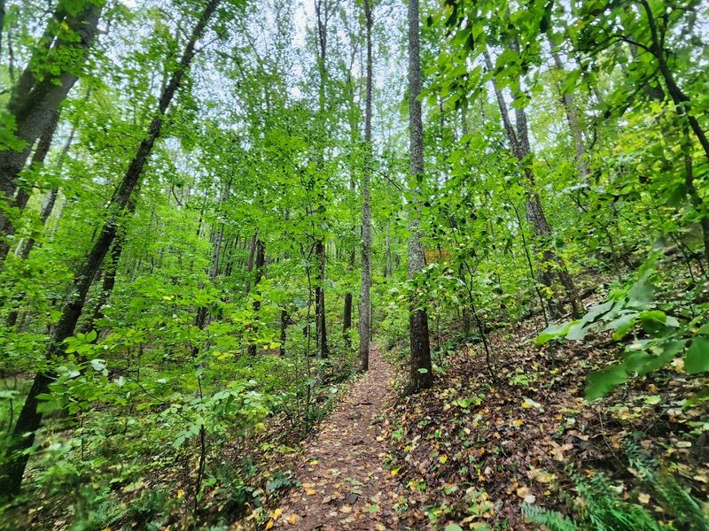 Dragon's Tooth Trail