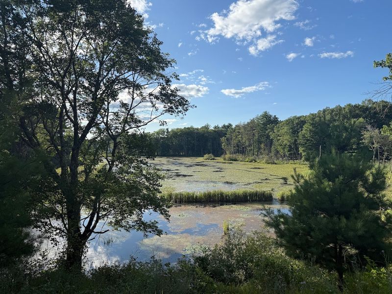 Nashua River Rail Trail Waterfront Sections - Ayer and Groton