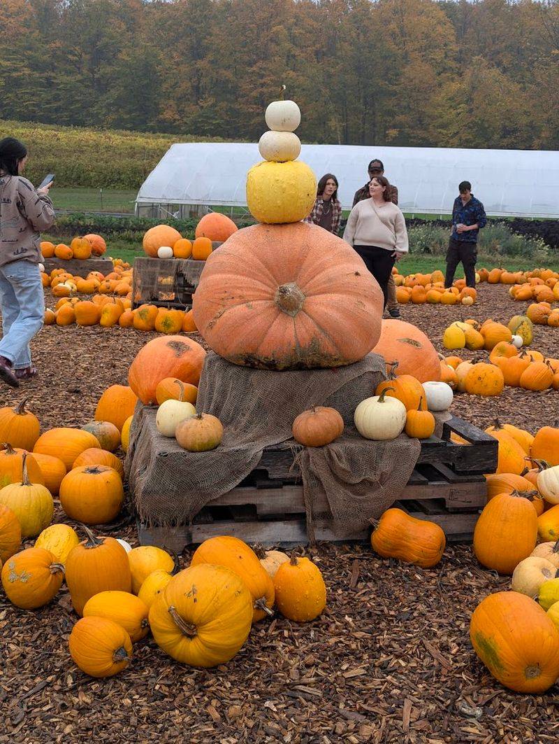 Pond Hill Farm (Harbor Springs)