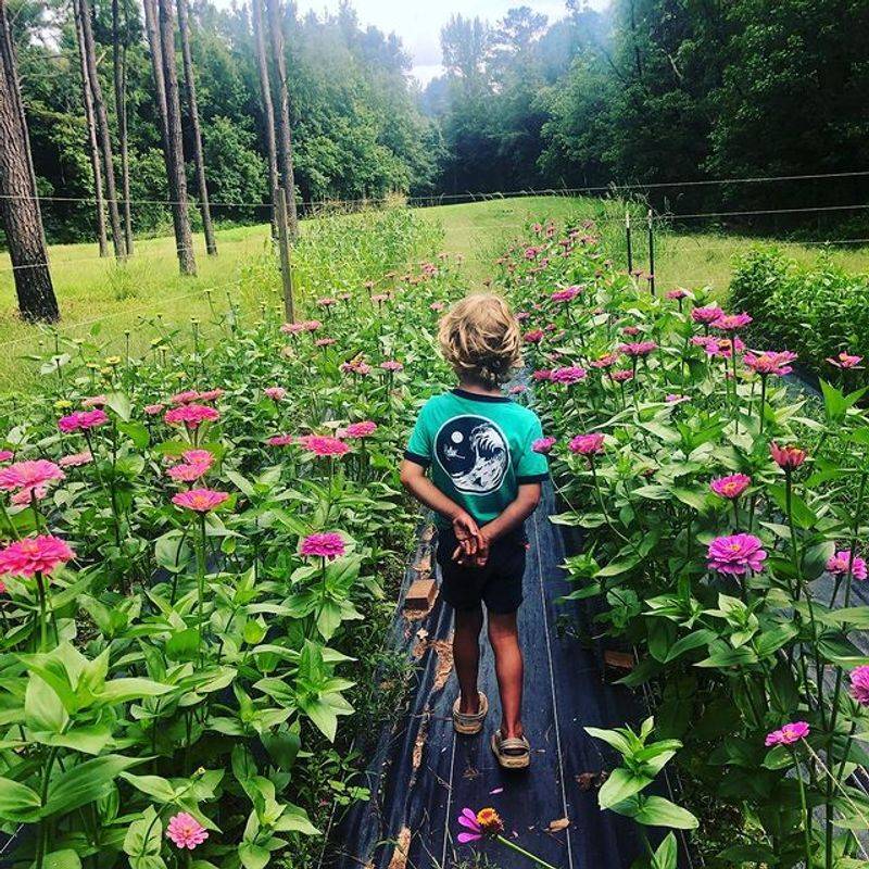 Farmyard Flowers LLC