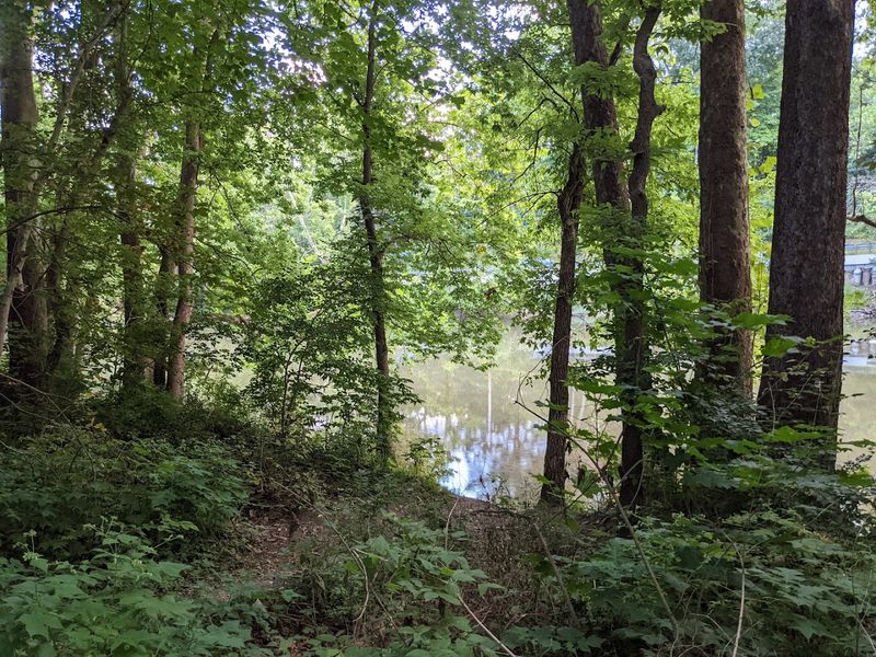 Highbanks Metro Park Trails 