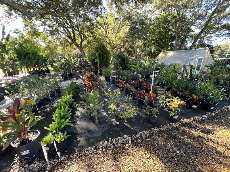 Wilcox Nursery & Landscape