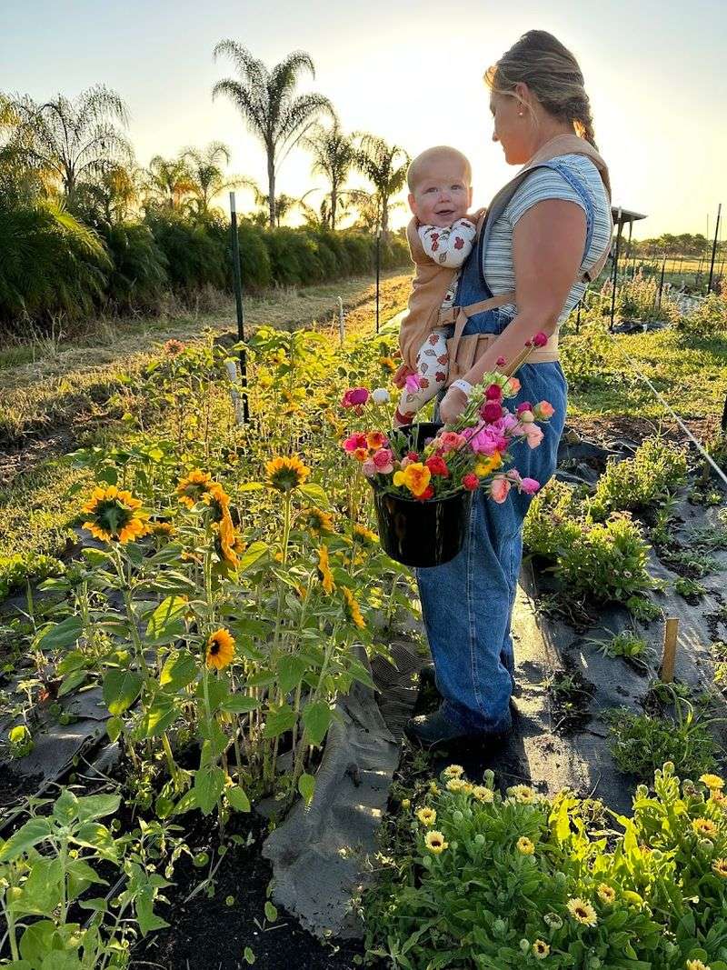 Pura Vida Flower Farm