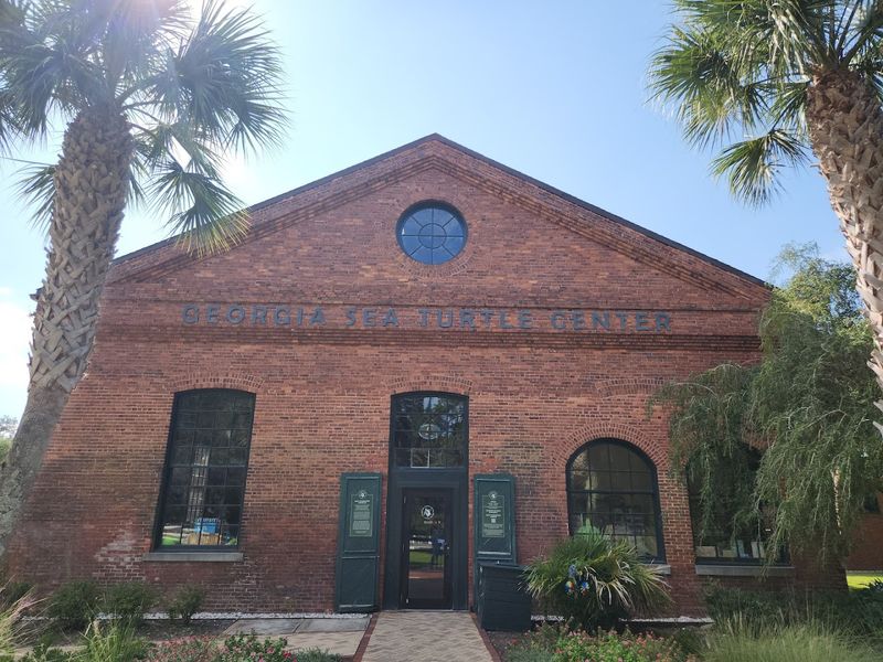 Georgia Sea Turtle Center