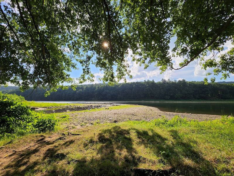 Allegheny River Trail (Allegheny River Trail Park) 