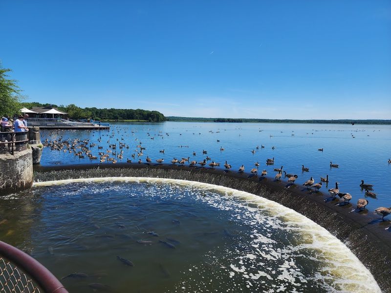 Pymatuning State Park