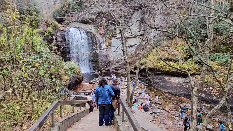 Looking Glass Falls Waterfall Experience