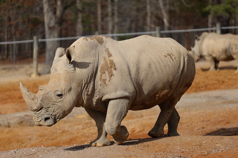Metro Richmond Zoo - Moseley, Chesterfield County