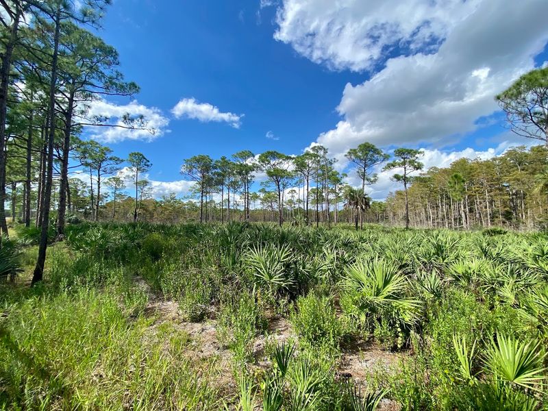 Jonathan Dickinson State Park - Hobe Sound