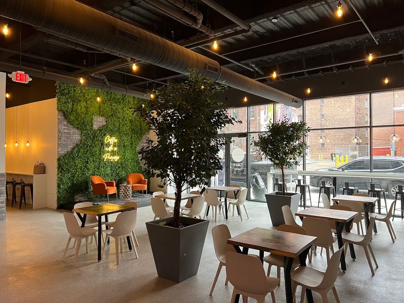 Titled Elm Coffee, New Haven, New Haven
