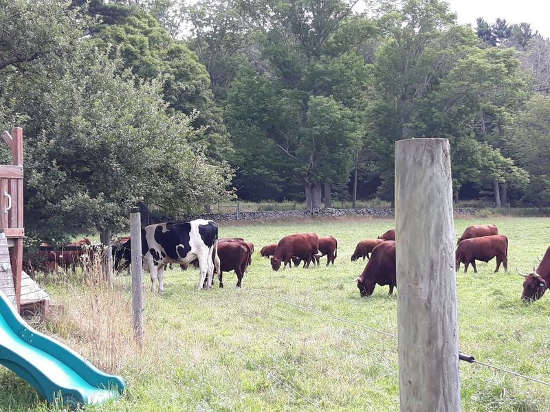 Walker Farm at Whortleberry Hill 