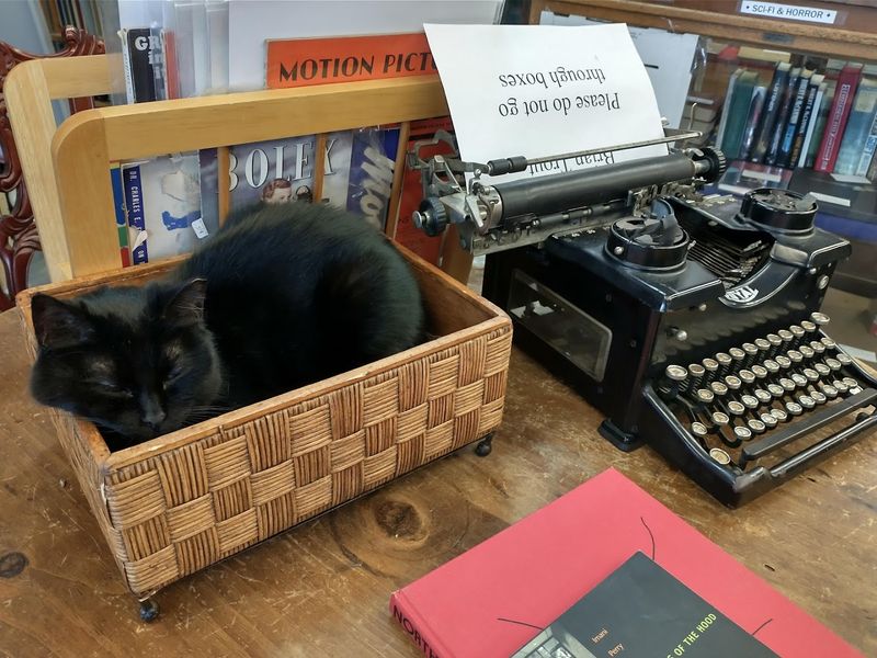 Atlanta Vintage Books, Chamblee, DeKalb County