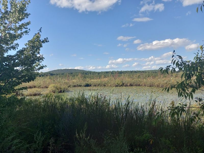 Blue Hills Reservation 
