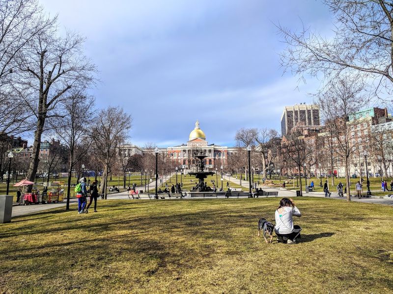 Boston Public Garden