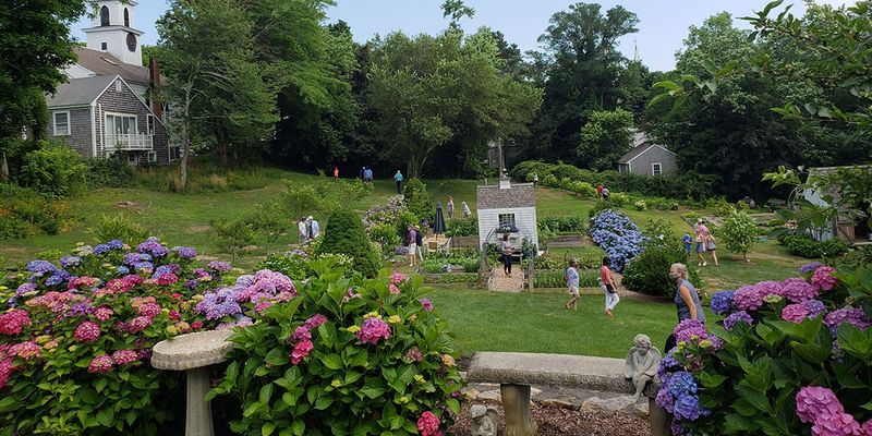 Cape Cod Hydrangea Festival