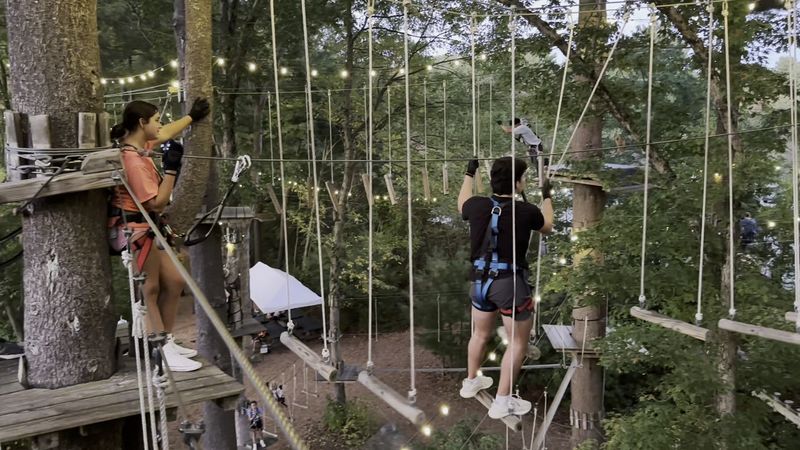 TreeTop Adventures