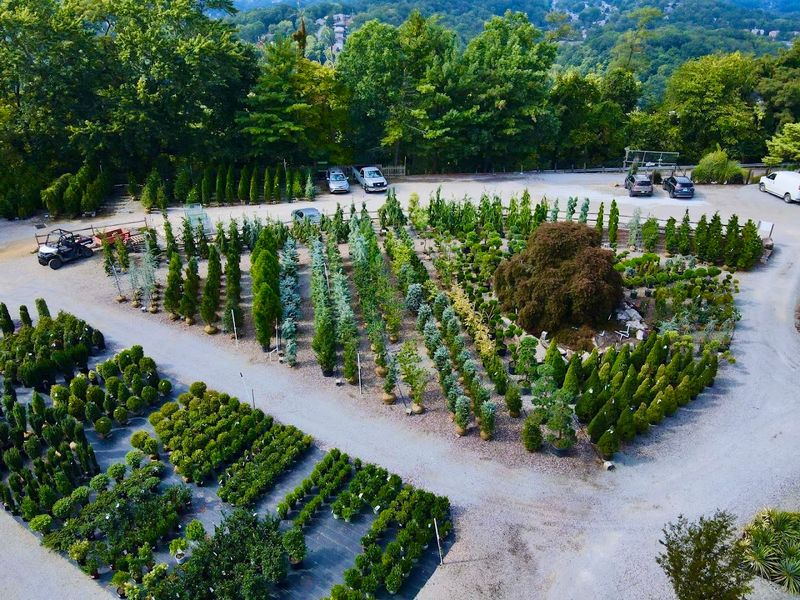 Plumline Nursery