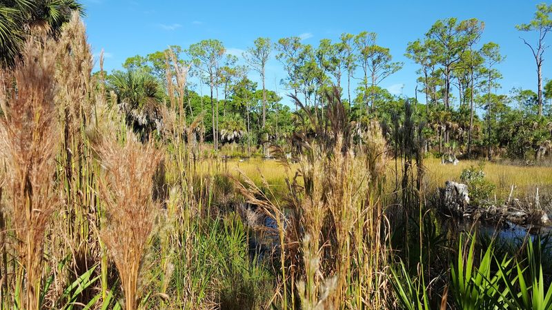 Naples Gordon River Greenway