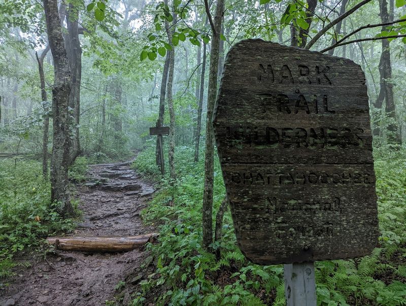 Hogpen Gap to Wolfpen Ridge Trail 