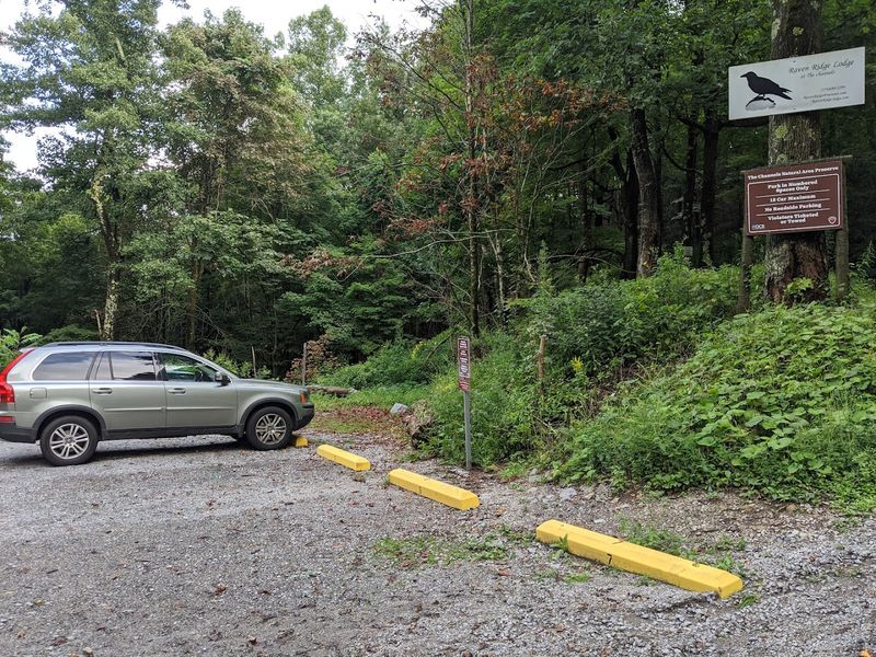 The Ten-Spot Parking Puzzle
