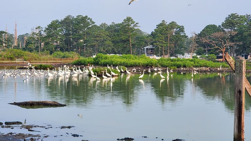 Year-Round Wildlife Encounters