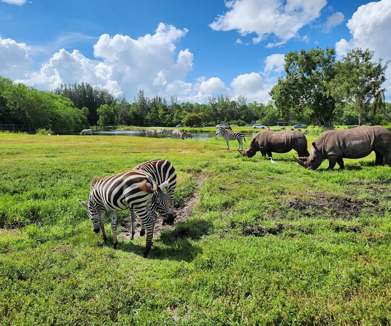 Lion Country Safari, Loxahatchee, Palm Beach County