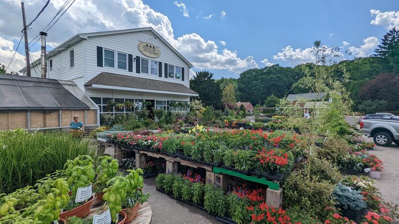 Bigelow Nurseries