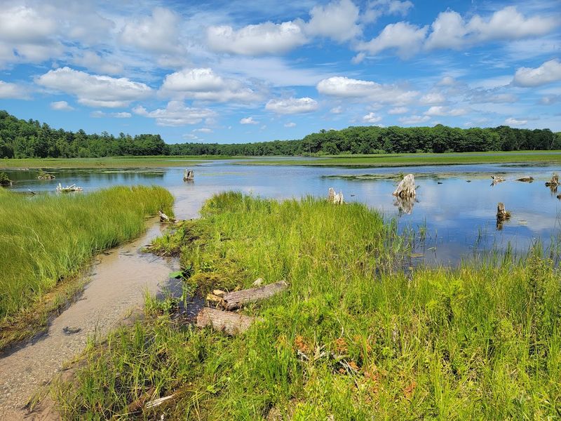 Manistee National Forest Trails - Manistee, Michigan